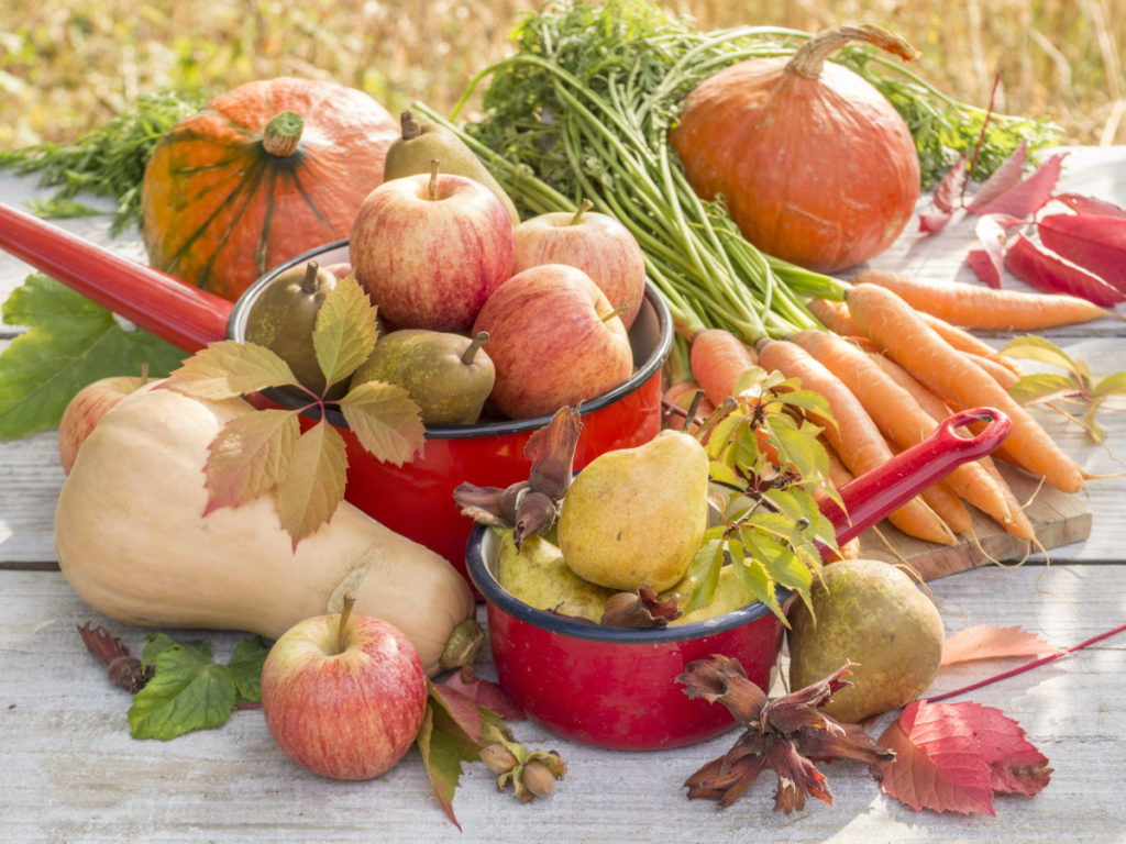 Paniers de fruits et légumes pour une alimentation "healthy" et locale en automne